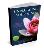 Unplugging Your Mind book available on Amazon
